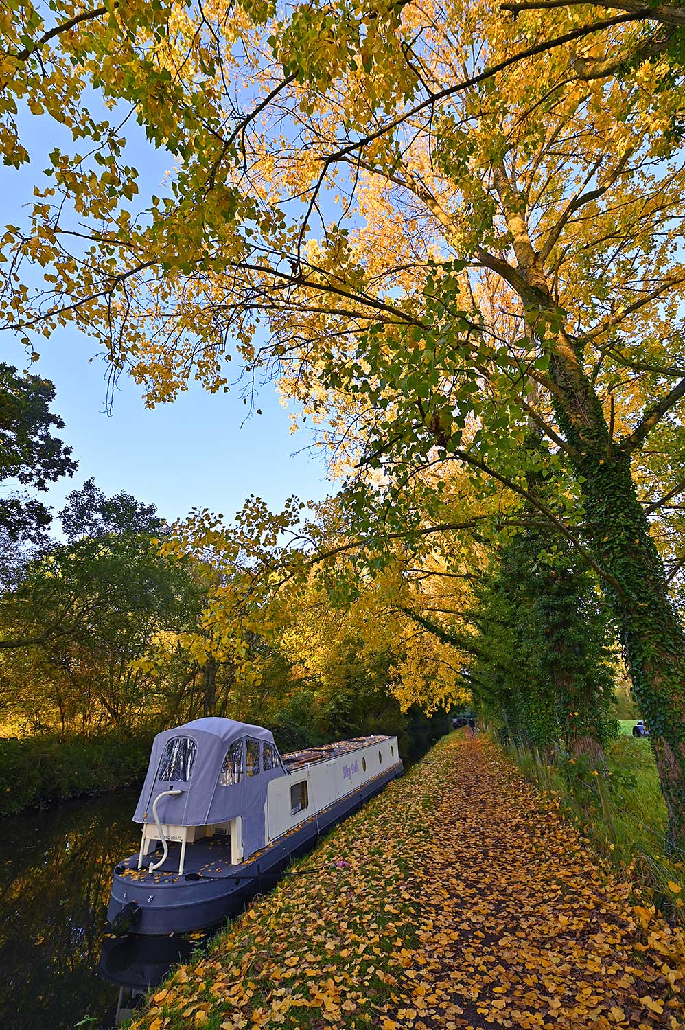 Picture of a canal boat moored on a canal under colourful autumn trees