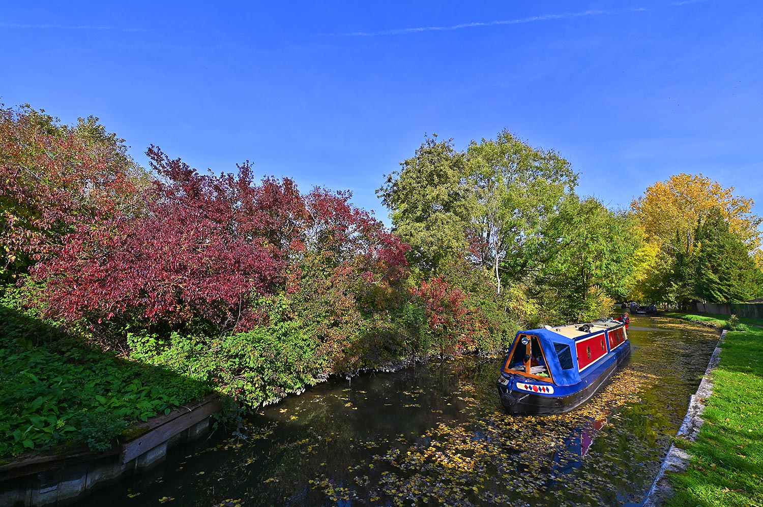 Picture of a canal boat cruising through fallen autumn leaves floating on a canal