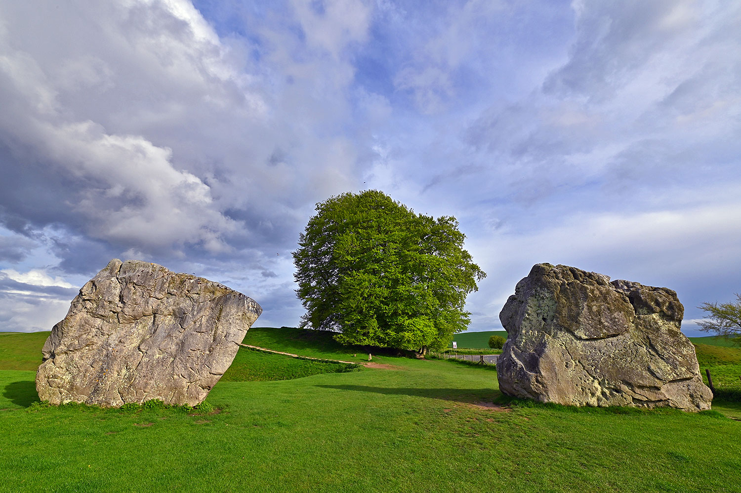 Picture of standing stones in a stone circle with a big tree in the background on a sunny May evening