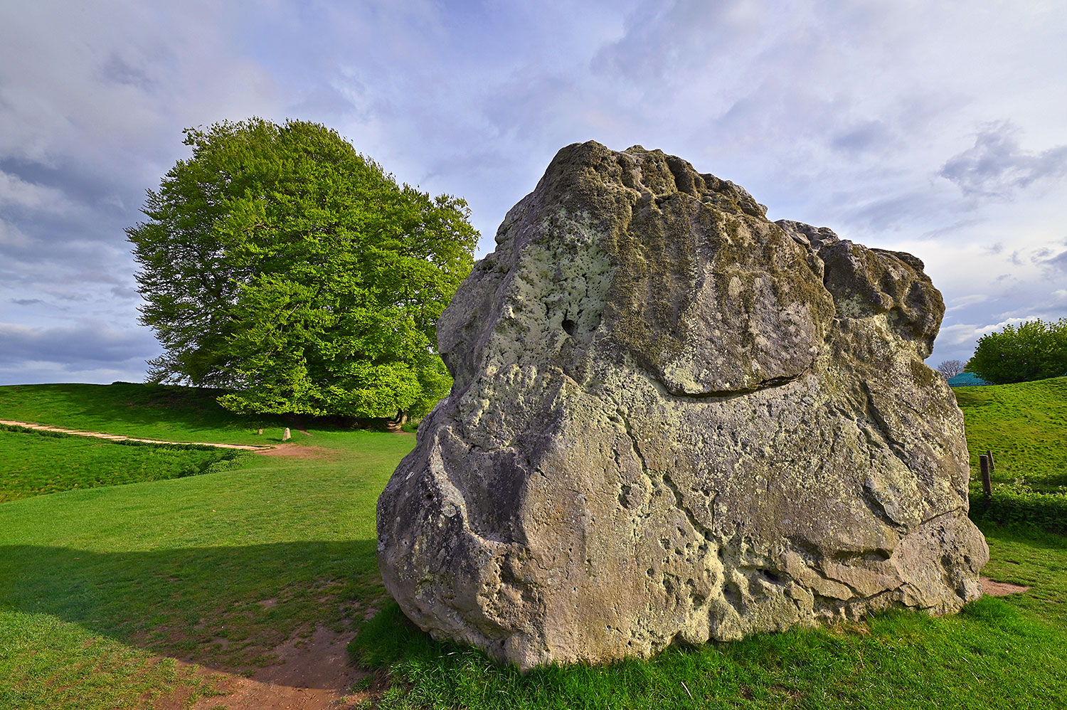 Picture of a standing stone in a stone circle with a big tree in the background on a sunny May evening