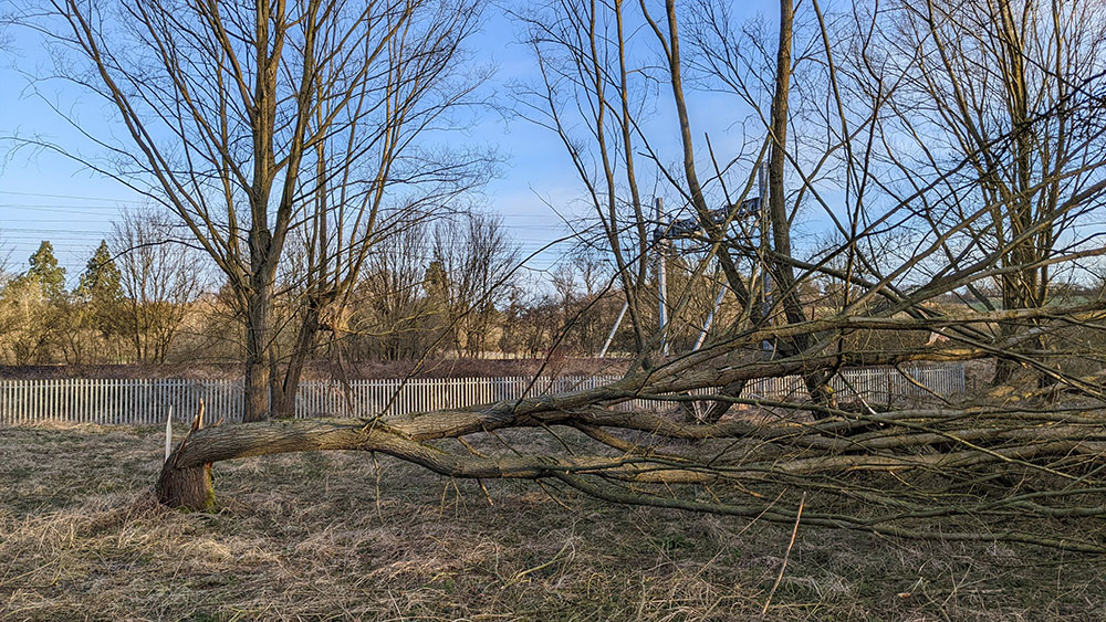 Picture of a snapped fallen tree parallel to a railway line
