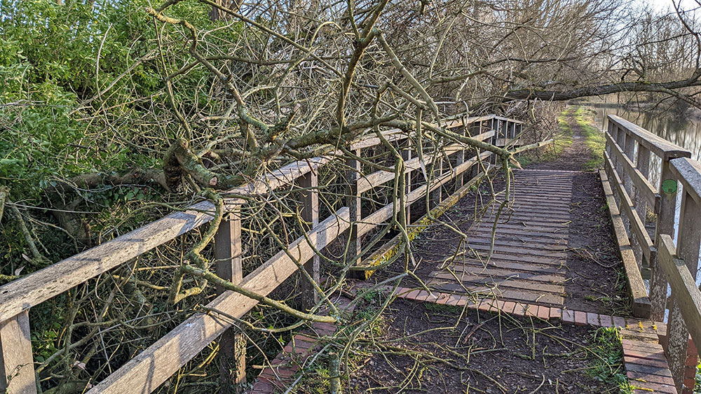 Picture of fallen trees on and after a small footbridge