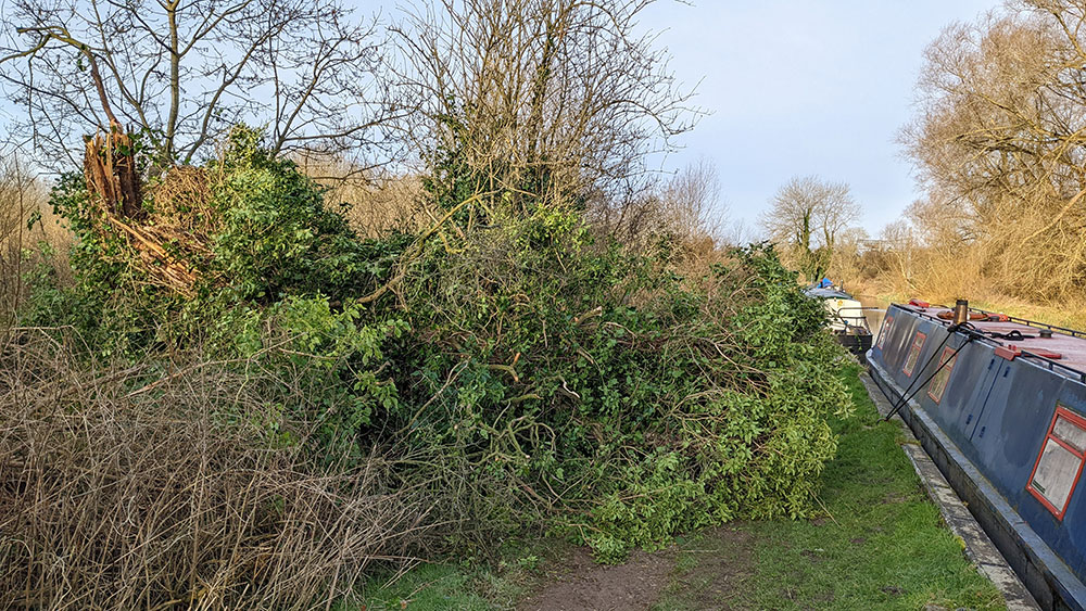 Picture of a smaller fallen tree next to a moored canal boat