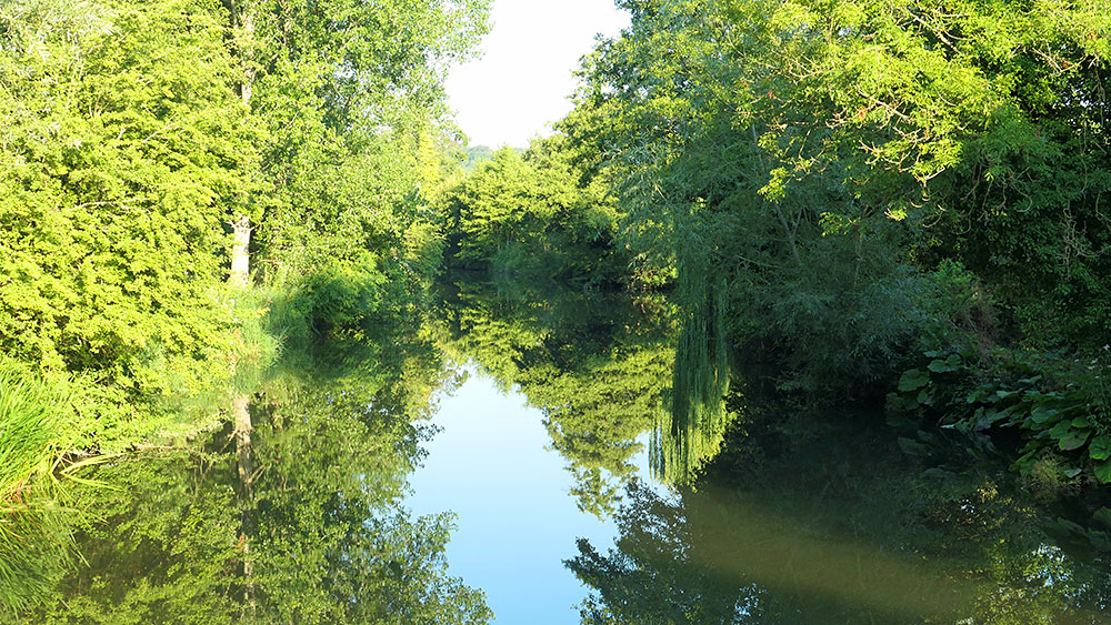 Picture of a canal flanked by a lot of green trees